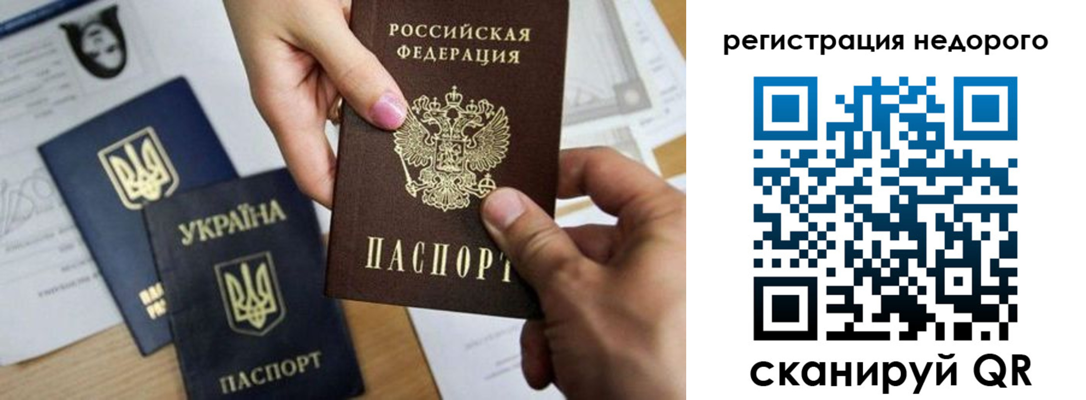 прописка ребенка в Светлогорске